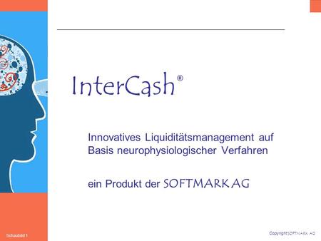 InterCash® Innovatives Liquiditätsmanagement auf Basis neurophysiologischer Verfahren ein Produkt der SOFTMARK AG.