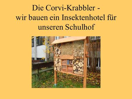 Die Corvi-Krabbler - wir bauen ein Insektenhotel für unseren Schulhof