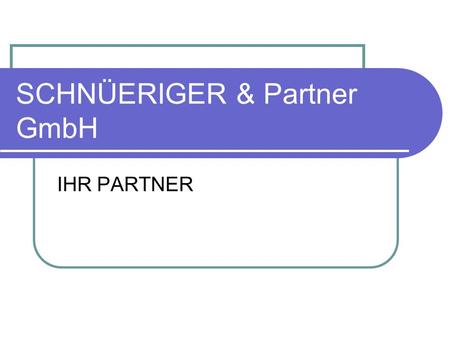 SCHNÜERIGER & Partner GmbH