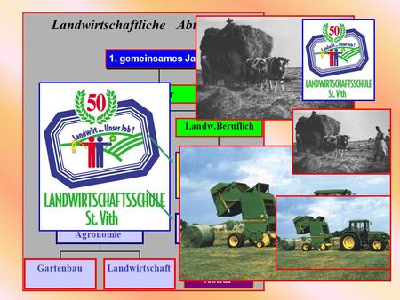 Landwirtschaftliche Abteilung GartenbauLandwirtschaft 5. + 6. Jahr AT Agronomie 3.+ 4.Jahr AT Qualifikation Technisch Biotechnik 7. Jahr LB Abitur 5.