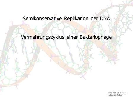 Semikonservative Replikation der DNA