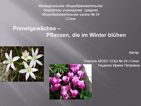 Pflanzen, die im Winter blühen