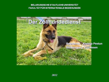 Der Zollhundedienst Referentin: Ksenija Pestun Studiengang: Zollwesen