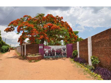 The Jacaranda School Kostenlose Bildung und Fürsorge für 400 Waisen in Malawi.