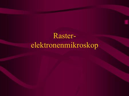 Raster- elektronenmikroskop