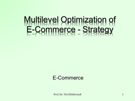 Multilevel Optimization of E-Commerce - Strategy