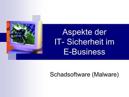 Aspekte der IT- Sicherheit im E-Business