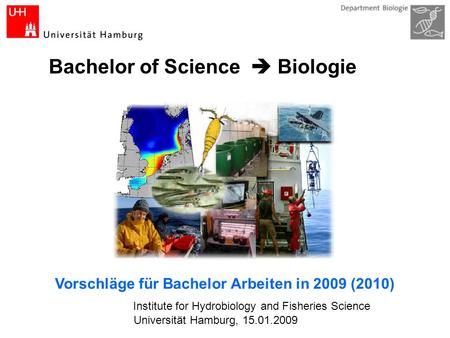 Vorschläge für Bachelor Arbeiten in 2009 (2010)