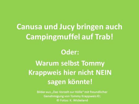 Canusa und Jucy bringen auch Campingmuffel auf Trab! Oder: Warum selbst Tommy Krappweis hier nicht NEIN sagen könnte! Bilder aus Das Vorzelt zur Hölle.