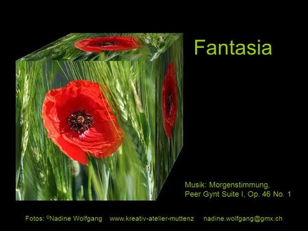 Fantasia Musik: Morgenstimmung, Peer Gynt Suite I, Op. 46 No. 1
