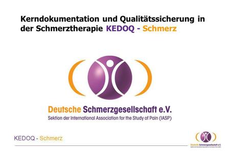 KErnDOkumentation Gemeinsamer Datensatz für die spezialisierte Schmerztherapie Grundlage ist der überarbeitete Deutsche Schmerzfragebogen DSF und Verlaufsfragebogen.