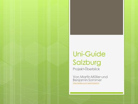 Uni-Guide Salzburg Projekt-Überblick