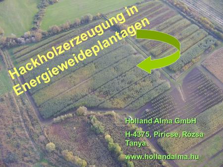 Hackholzerzeugung in Energieweideplantagen Holland Alma GmbH H-4375, Piricse, Rózsa Tanya www.hollandalma.hu.