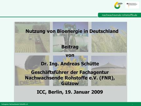 Nutzung von Bioenergie in Deutschland