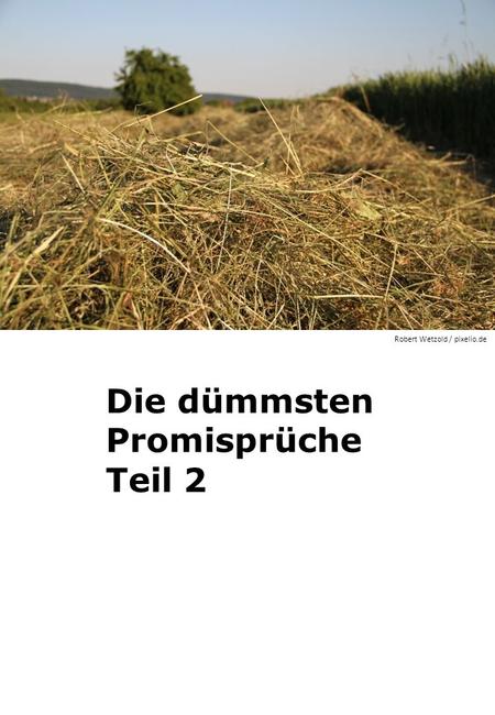 Die dümmsten Promisprüche Teil 2 Robert Wetzold / pixelio.de.