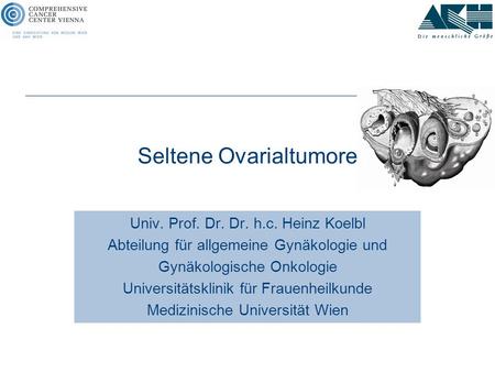 Seltene Ovarialtumore