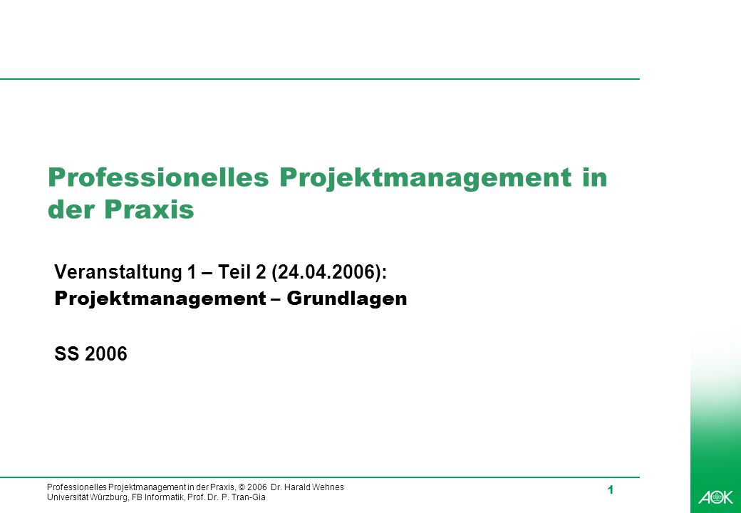Professionelles Projektmanagement In Der Praxis Ppt Video Online Herunterladen