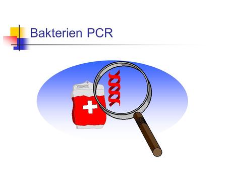 Bakterien PCR.