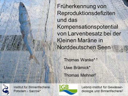 Früherkennung von Reproduktionsdefiziten und das Kompensationspotential von Larvenbesatz bei der Kleinen Maräne in Norddeutschen Seen Thomas Wanke*,† Uwe.