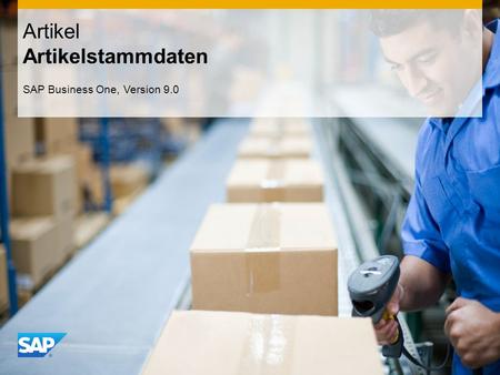 Artikel Artikelstammdaten