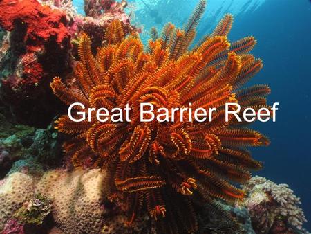 Great Barrier Reef.