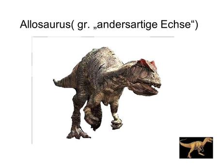 Allosaurus( gr. „andersartige Echse“)