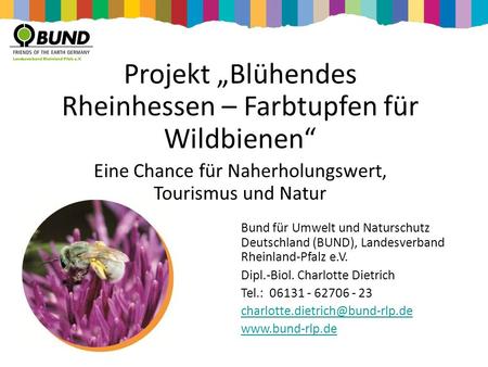 Projekt „Blühendes Rheinhessen – Farbtupfen für Wildbienen“
