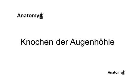 Knochen der Augenhöhle