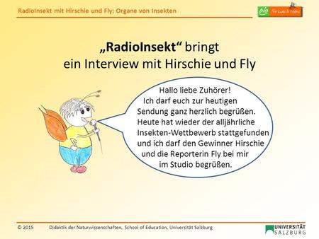 „RadioInsekt“ bringt ein Interview mit Hirschie und Fly