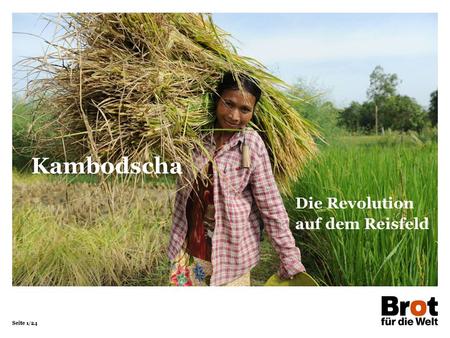 Seite 1/24 Die Revolution auf dem Reisfeld Kambodscha.