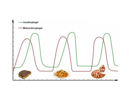 Nach der Verdauung gelangen Kohlenhydrate (Glucose) ins Blut. Der Blutzuckerspiegel steigt an, überschüssige Kohlenhydrate werden in der Muskulatur.