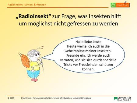 „RadioInsekt“ zur Frage, was Insekten hilft