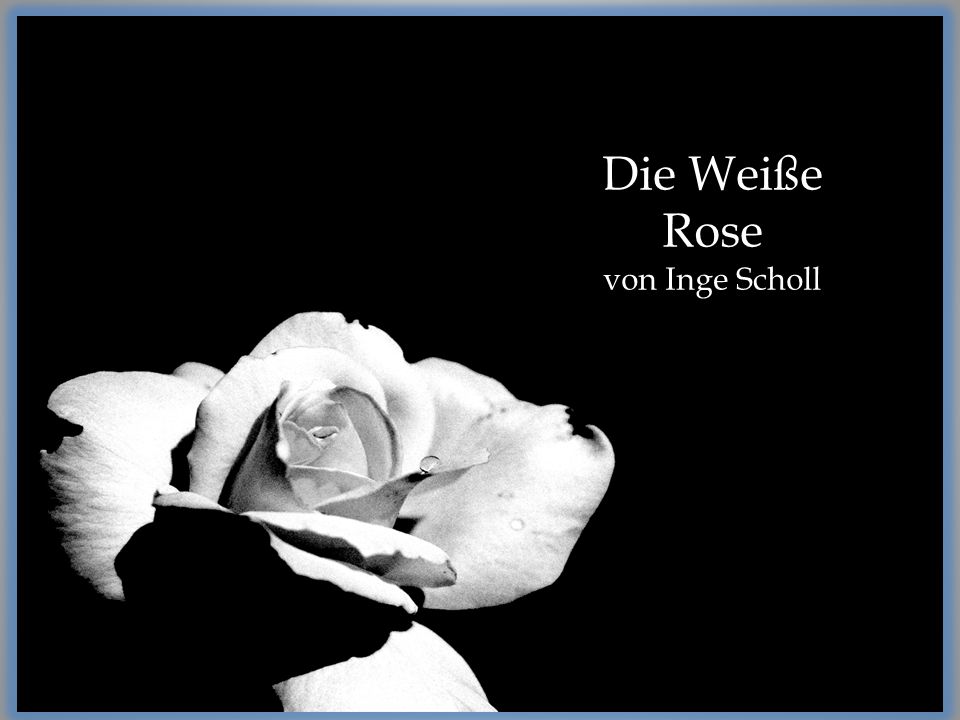 Die Weiße Rose von Inge Scholl. - ppt video online herunterladen