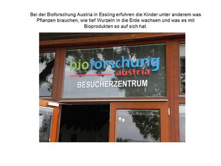 Bei der Bioforschung Austria in Essling erfuhren die Kinder unter anderem was Pflanzen brauchen, wie tief Wurzeln in die Erde wachsen und was es mit Bioprodukten.