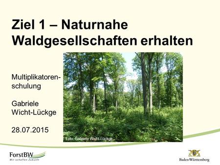 Ziel 1 – Naturnahe Waldgesellschaften erhalten
