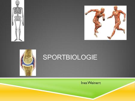 Sportbiologie Ines Weinert.