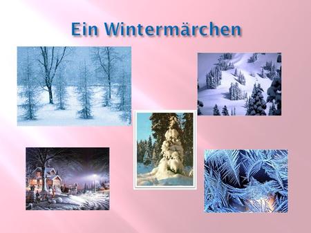 Das Tier lebt im Wald. Im Sommer ist es rot und im Winter grau. Es frisst Nüsse. Wer ist das?