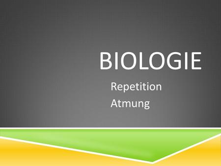 Biologie Repetition Atmung.