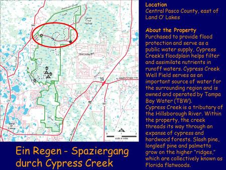 Location Central Pasco County, east of Land O Lakes About the Property Purchased to provide flood protection and serve as a public water supply, Cypress.