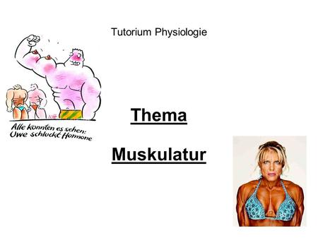 Tutorium Physiologie Thema Muskulatur.
