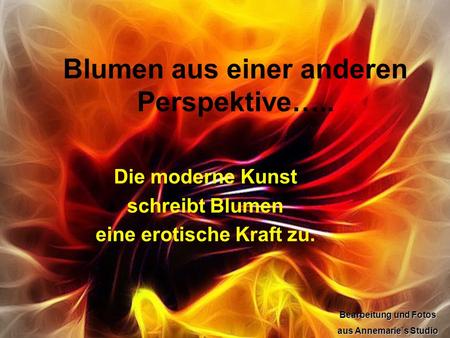 Blumen aus einer anderen Perspektive…..