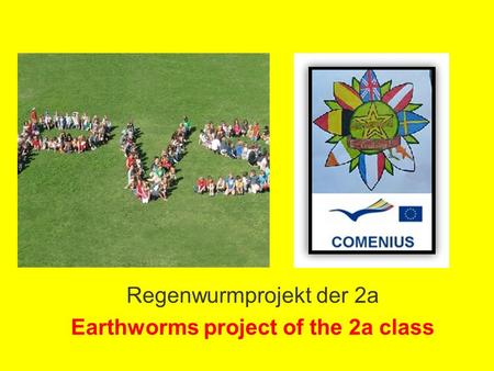 Regenwurmprojekt der 2a Earthworms project of the 2a class.