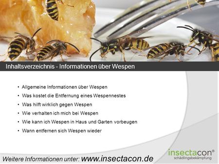 Inhaltsverzeichnis - Informationen über Wespen