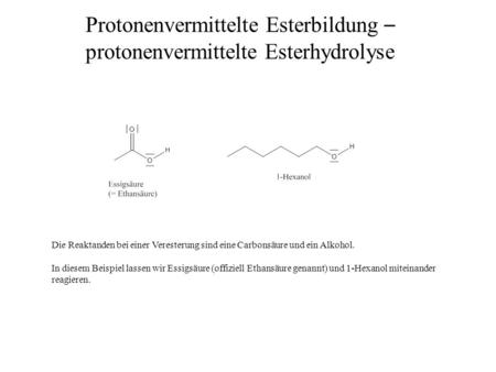 Protonenvermittelte Esterbildung – protonenvermittelte Esterhydrolyse