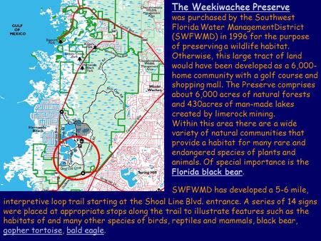 The Weekiwachee Preserve was purchased by the Southwest Florida Water ManagementDistrict (SWFWMD) in 1996 for the purpose of preserving a wildlife habitat.