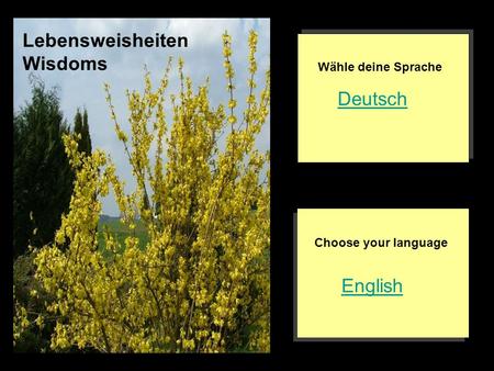Lebensweisheiten Wisdoms Deutsch English Wähle deine Sprache