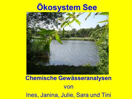 Chemische Gewässeranalysen von Ines, Janina, Julie, Sara und Tini