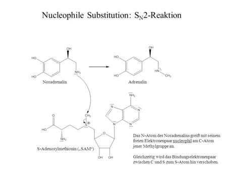 Nucleophile Substitution: SN2-Reaktion