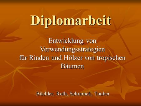 Diplomarbeit Entwicklung von Verwendungsstrategien für Rinden und Hölzer von tropischen Bäumen Büchler, Roth, Schramek, Tauber.