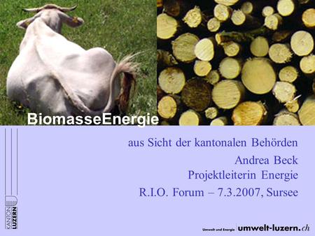 BiomasseEnergie aus Sicht der kantonalen Behörden Andrea Beck Projektleiterin Energie R.I.O. Forum – 7.3.2007, Sursee.